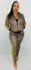 Animal Print Tracksuit